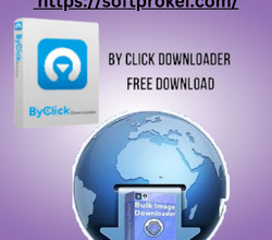 Bulk Image Downloader